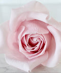 A single pale pink rose centered on a light marble-like surface with a soft white background.